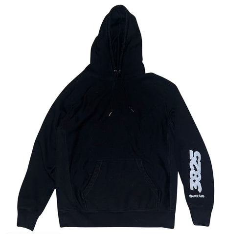 3825 SLEEVE LOGO HOODIE